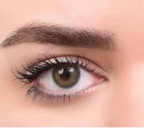 لنز چشم رویال ویژن مدل Daily شماره 16 رنگ Cappuccino کاپوچینو دور دار‎